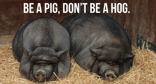 Pigs get fat, Hogs get slaughtered