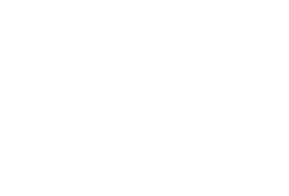 Idea Farm LLC